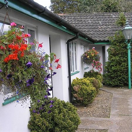 The Willow House Уоттон Экстерьер фото